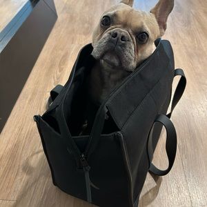 Wild one only used once dog carrier. Black polyester easy cloth to clean.